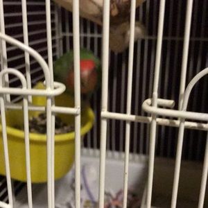 Meet your Posher, Arturo